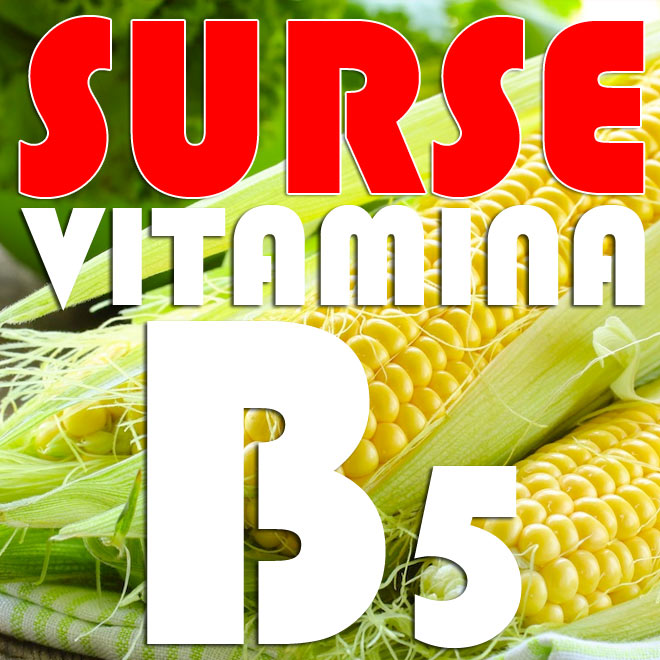 Surse-naturale-Vitamina-B5